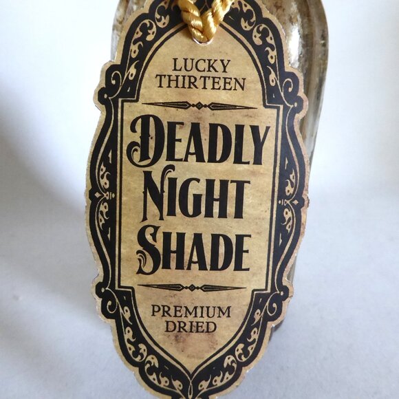 NEW 9” APOTHECARY DEADLY NIGHT SHADE HALLOWEEN GLASS BOTTLE PROP ODDITY - Picture 3 of 10